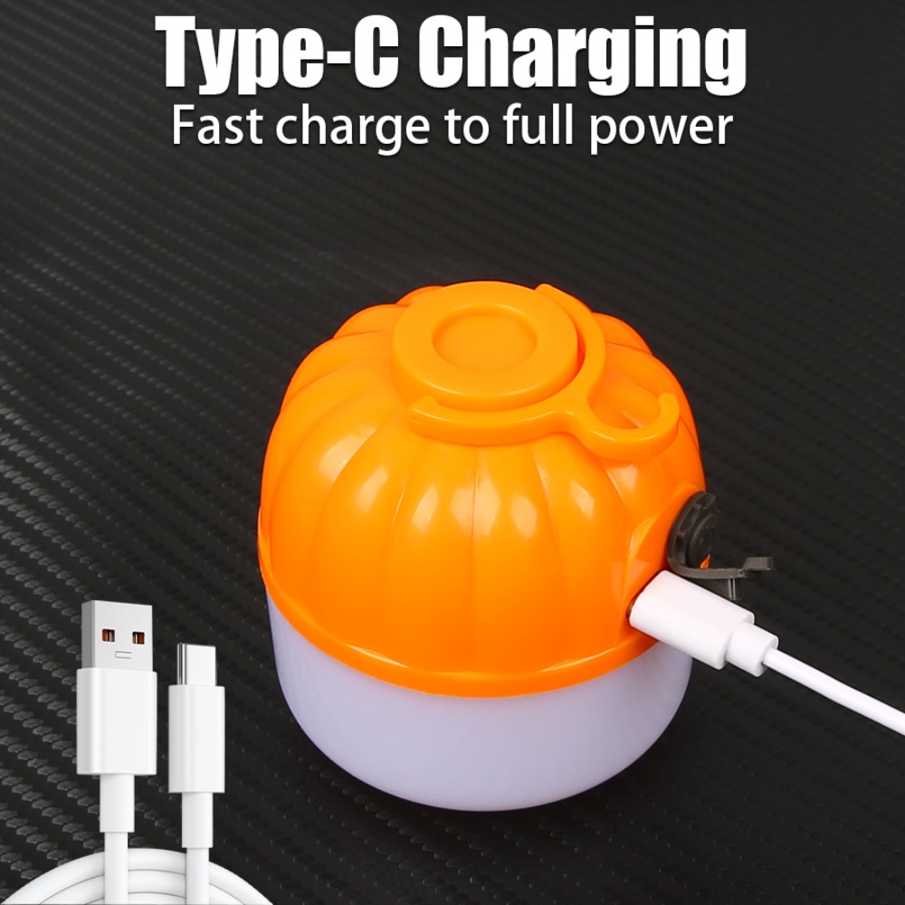 Portable Mini Camping Lamp 4 L - Outdoor Lighting Lamp review and price