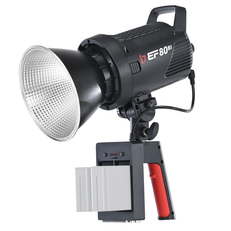 JINBEI EF-80Bi Handheld LED Vi - Outdoor Lighting Kits review and price