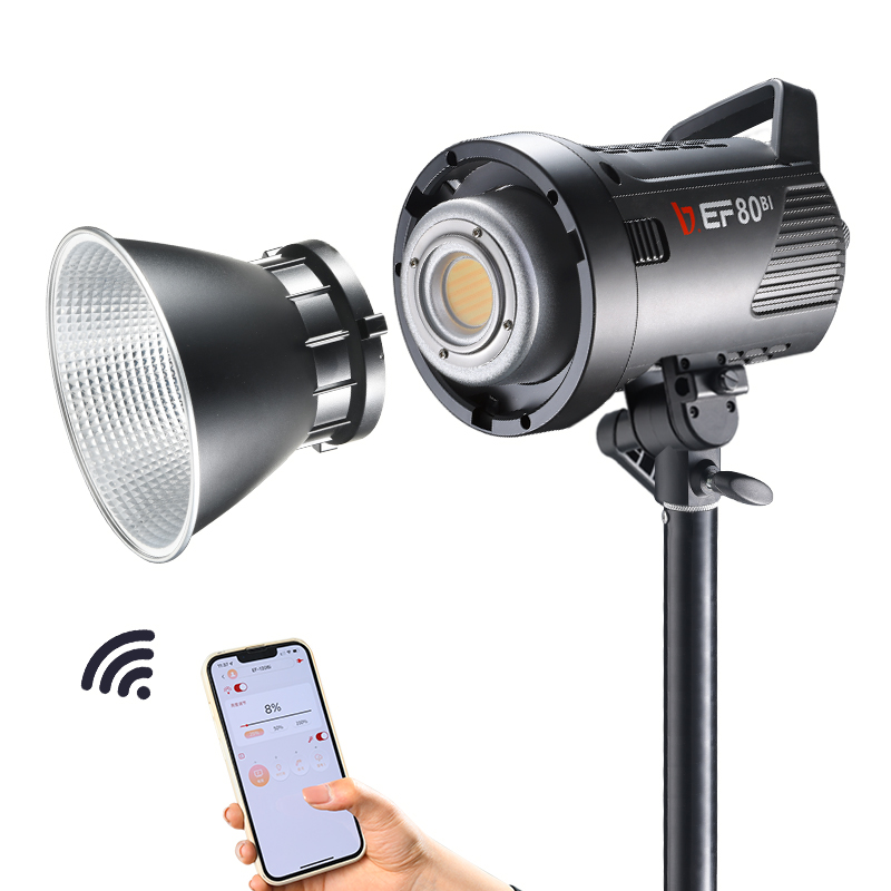 JINBEI EF-80Bi Handheld LED Vi - Outdoor Lighting Kits review and price