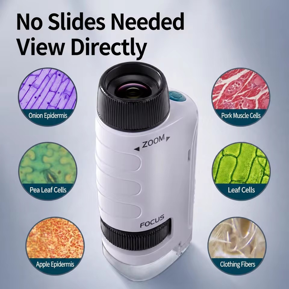 Pocket Microscope Science Toy  - Outdoor Lighting Kits review and price